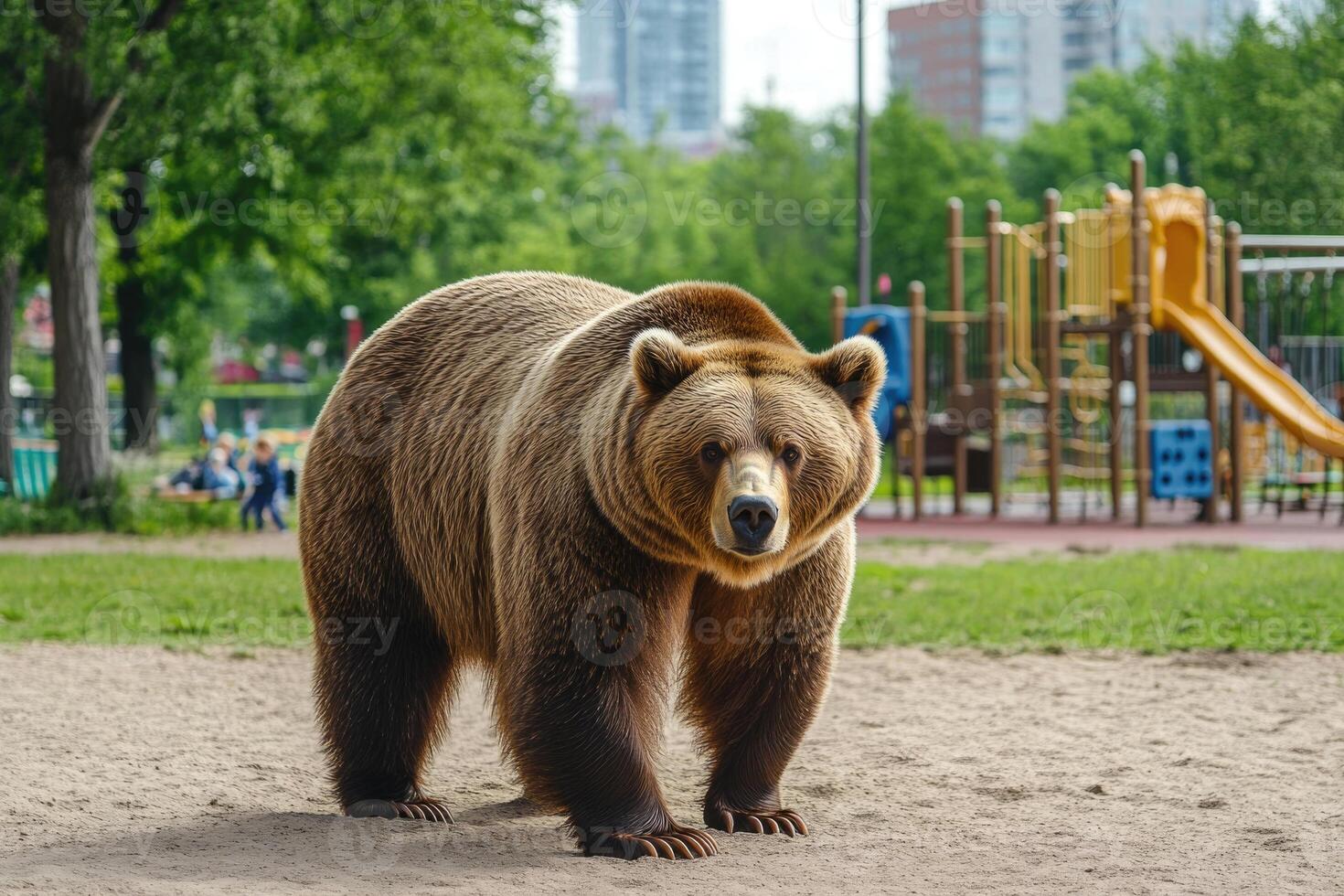 A bear near a playground in a city park. photo