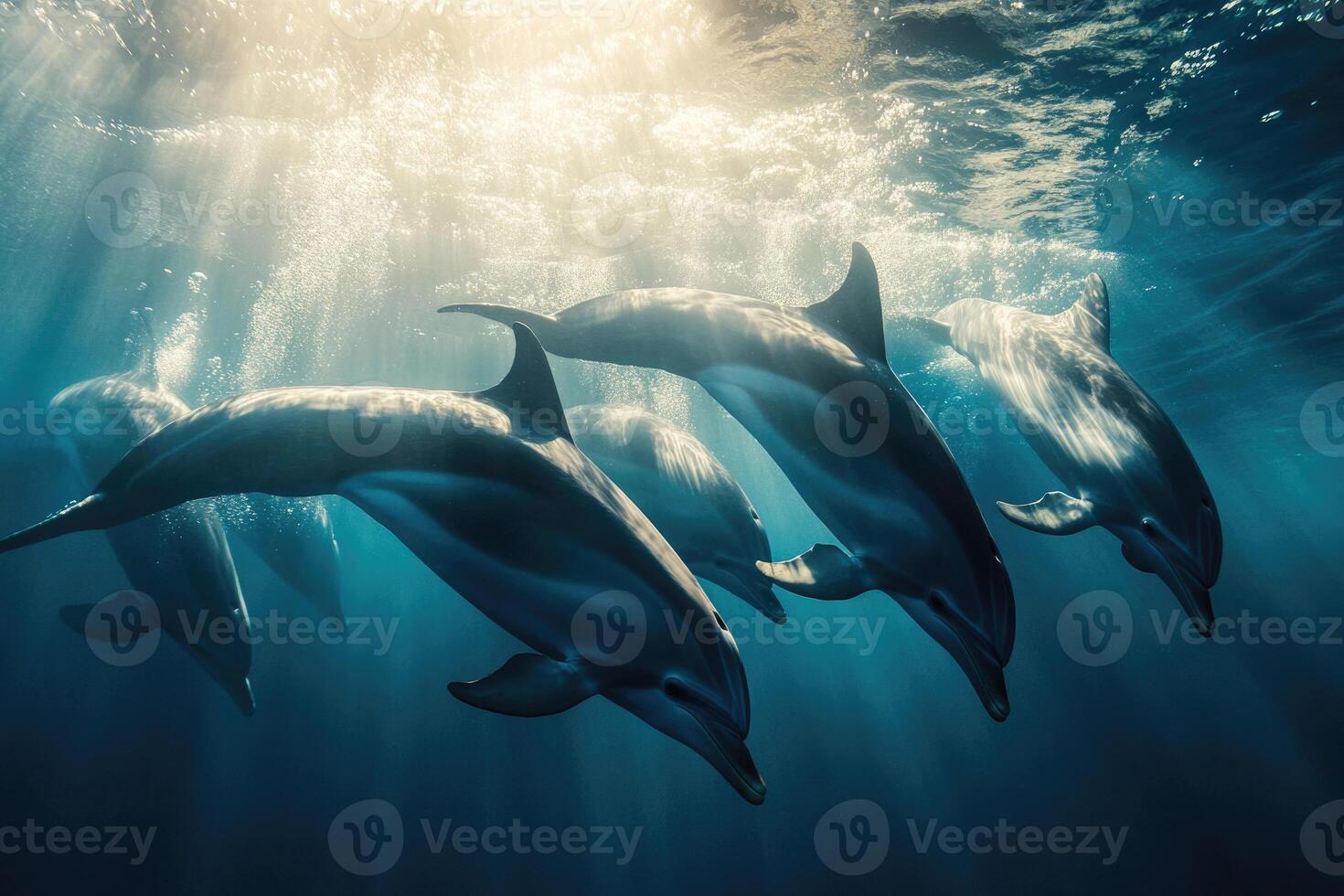 A group of dolphins playfully swimming near the surface of the water. photo