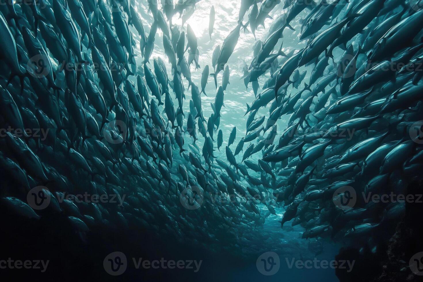 A school of fish swimming in perfect synchronization in the open ocean. photo