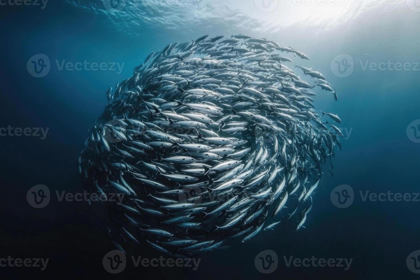 A school of fish swimming in perfect synchronization in the open ocean. photo