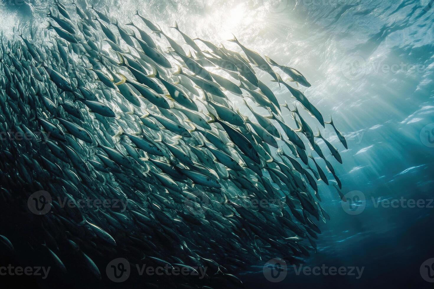 A school of fish swimming in perfect synchronization in the open ocean. photo