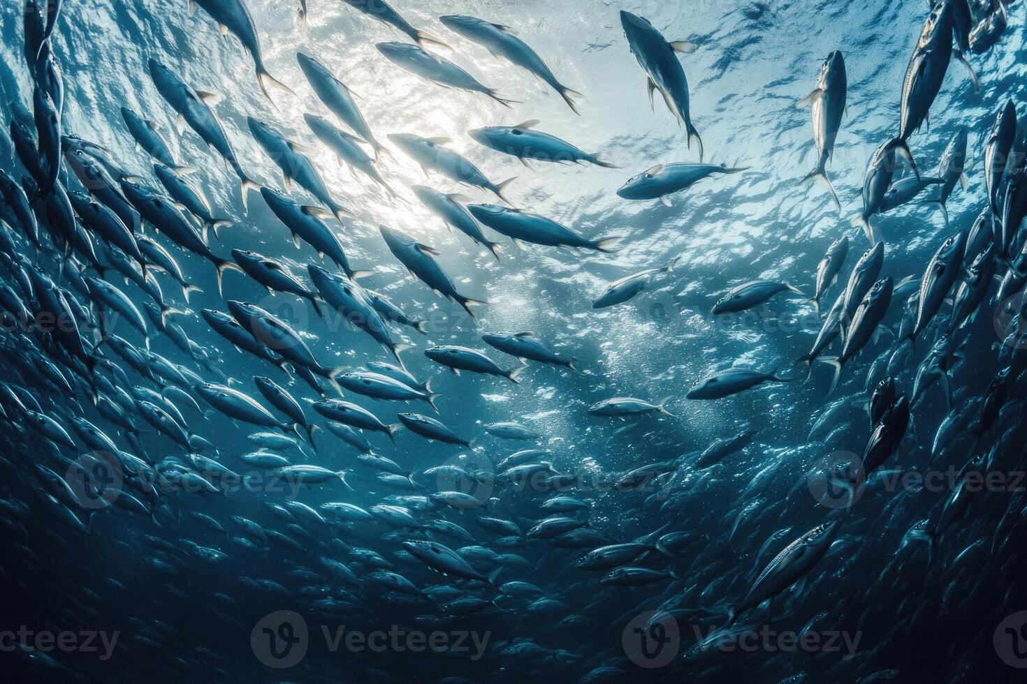 A school of fish swimming in perfect synchronization in the open ocean. photo