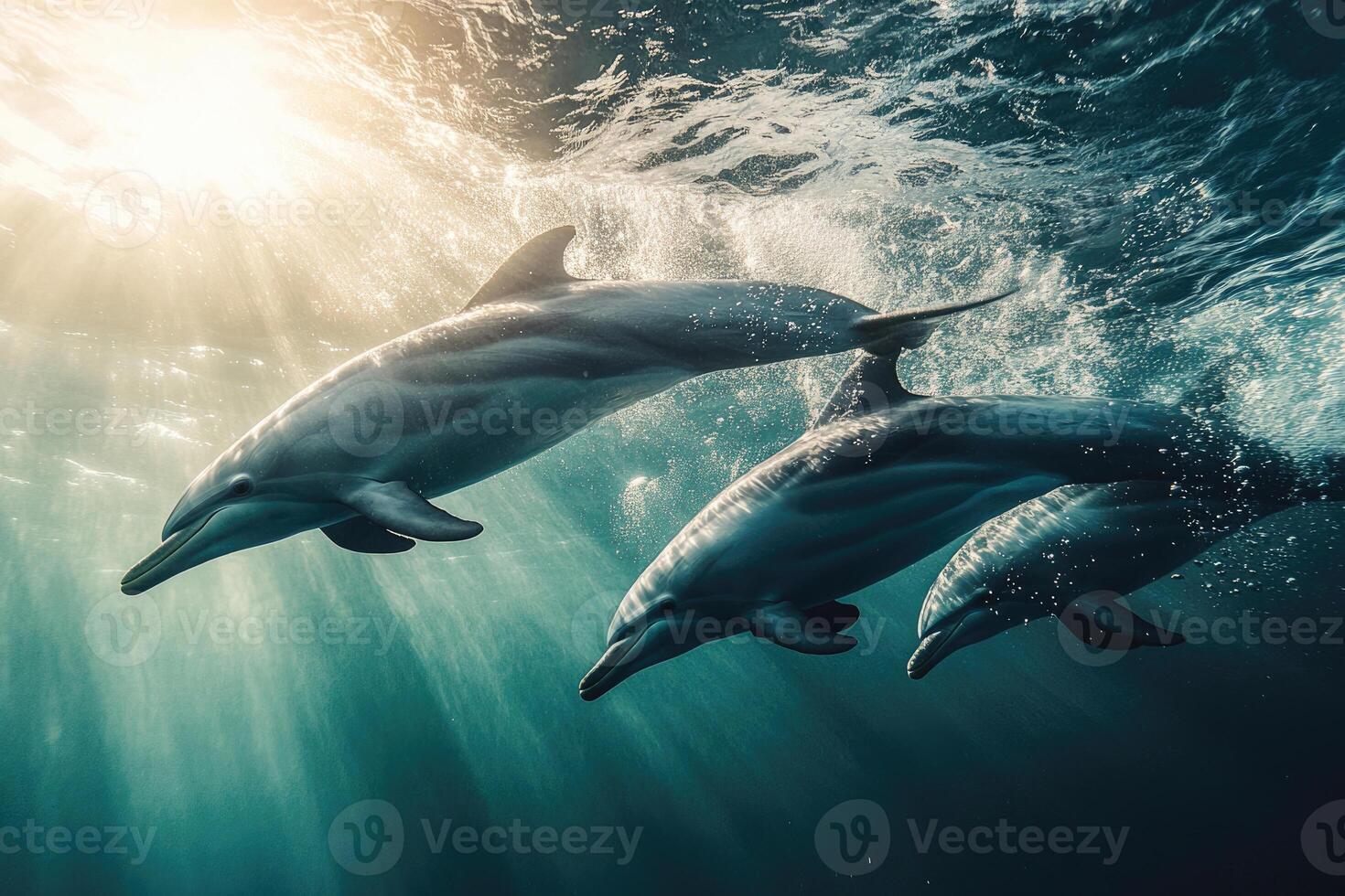 A group of dolphins playfully swimming near the surface of the water. photo