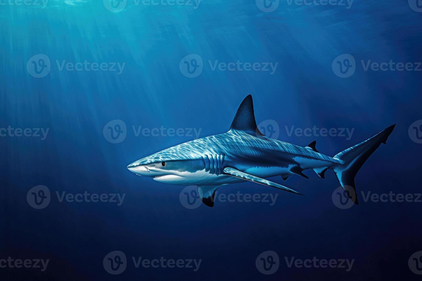 A majestic shark swimming silently through deep blue waters. photo