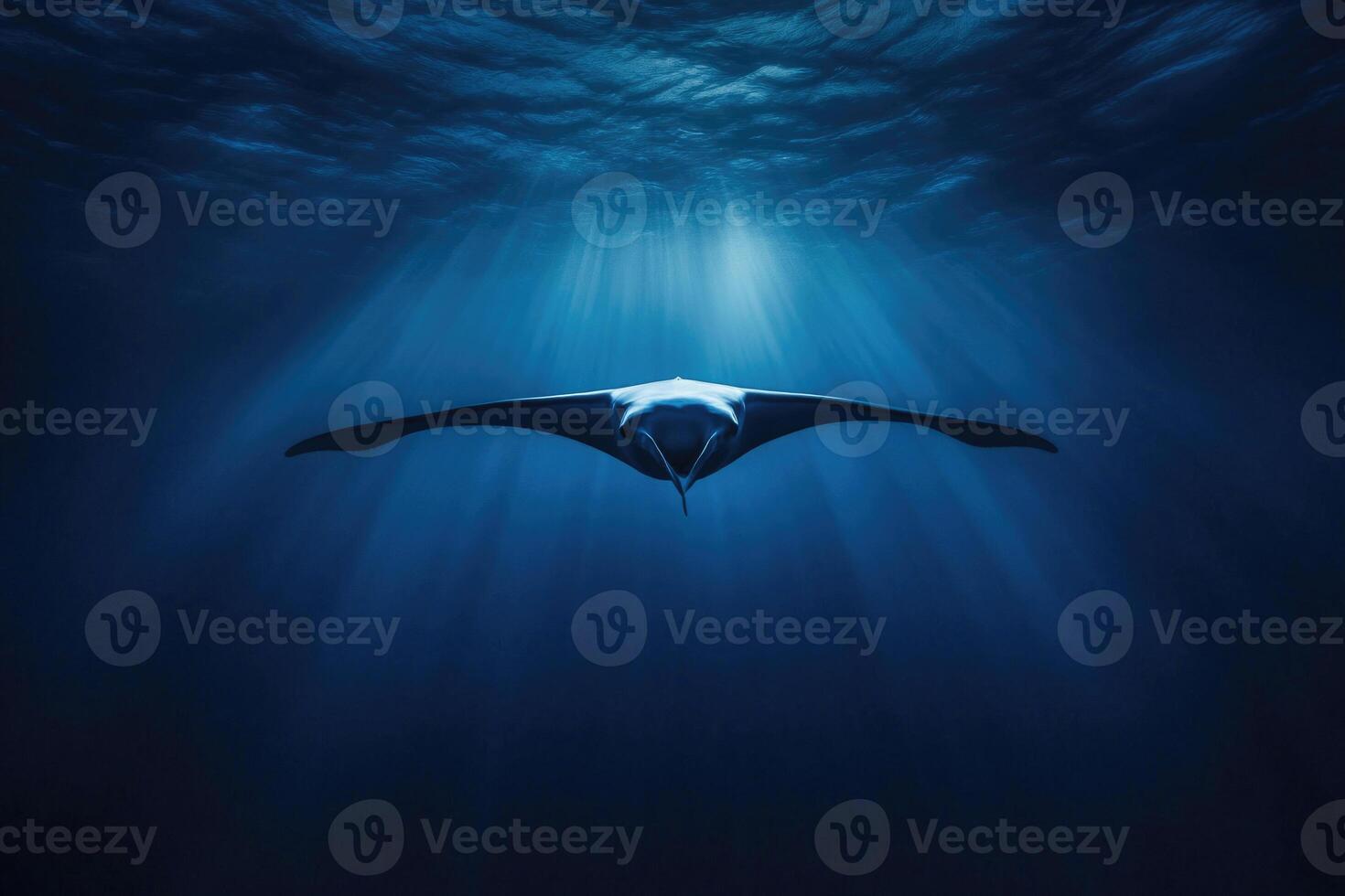 A manta ray gliding effortlessly through the oceans blue depths. photo