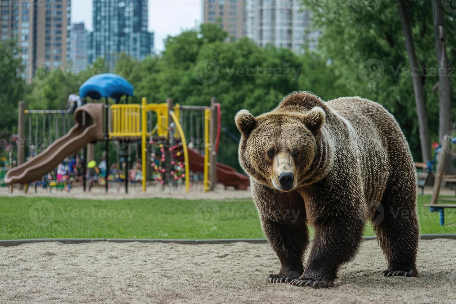 A bear near a playground in a city park. photo