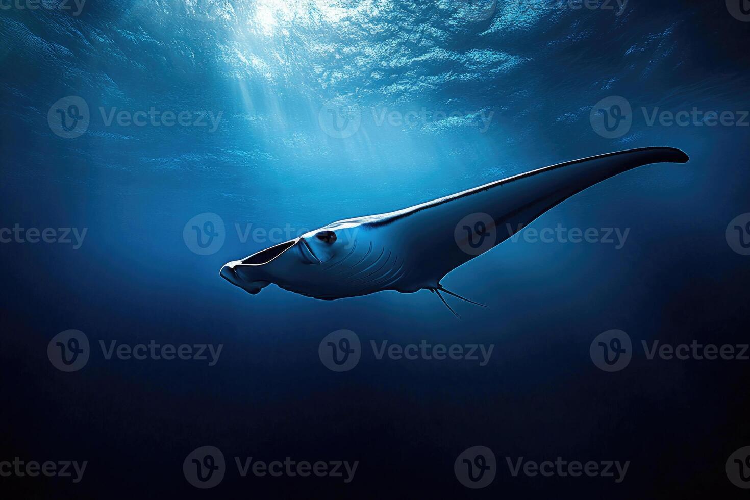 A manta ray gliding effortlessly through the oceans blue depths. photo