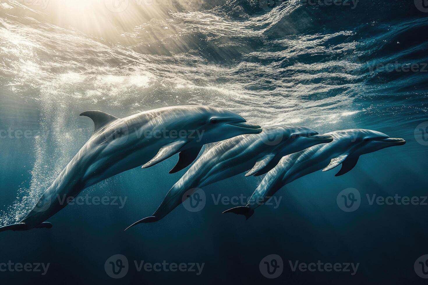 A group of dolphins playfully swimming near the surface of the water. photo