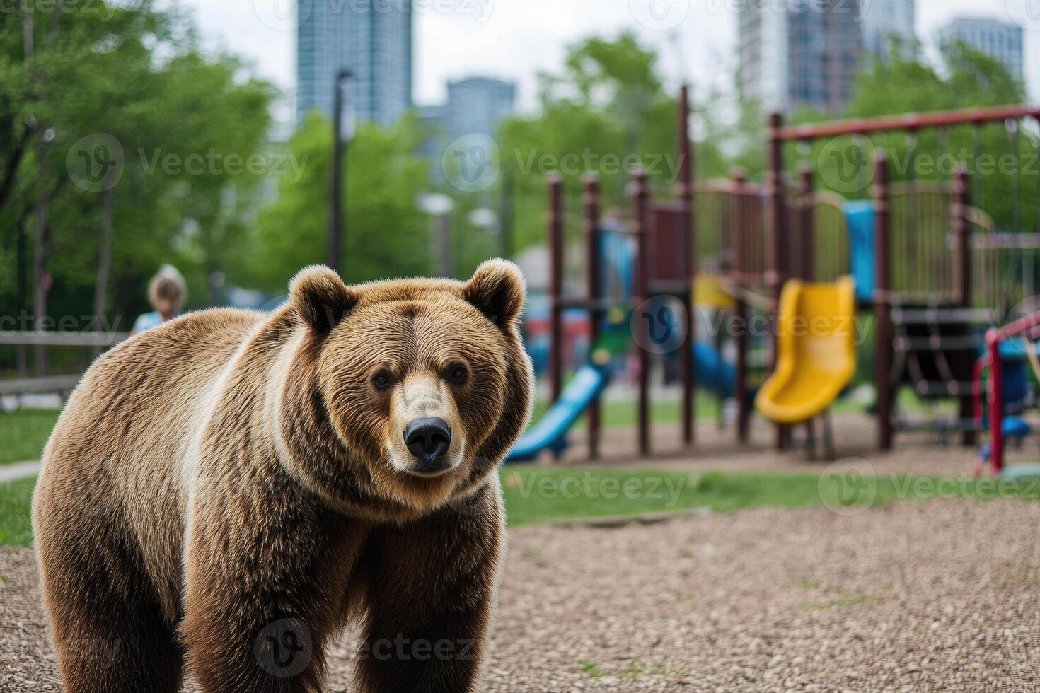 A bear near a playground in a city park. photo