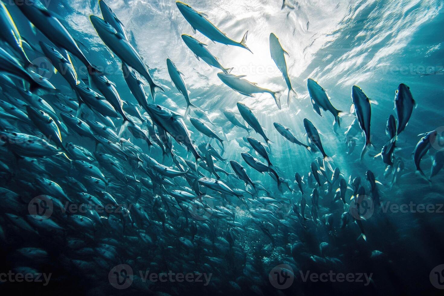 A school of fish swimming in perfect synchronization in the open ocean. photo