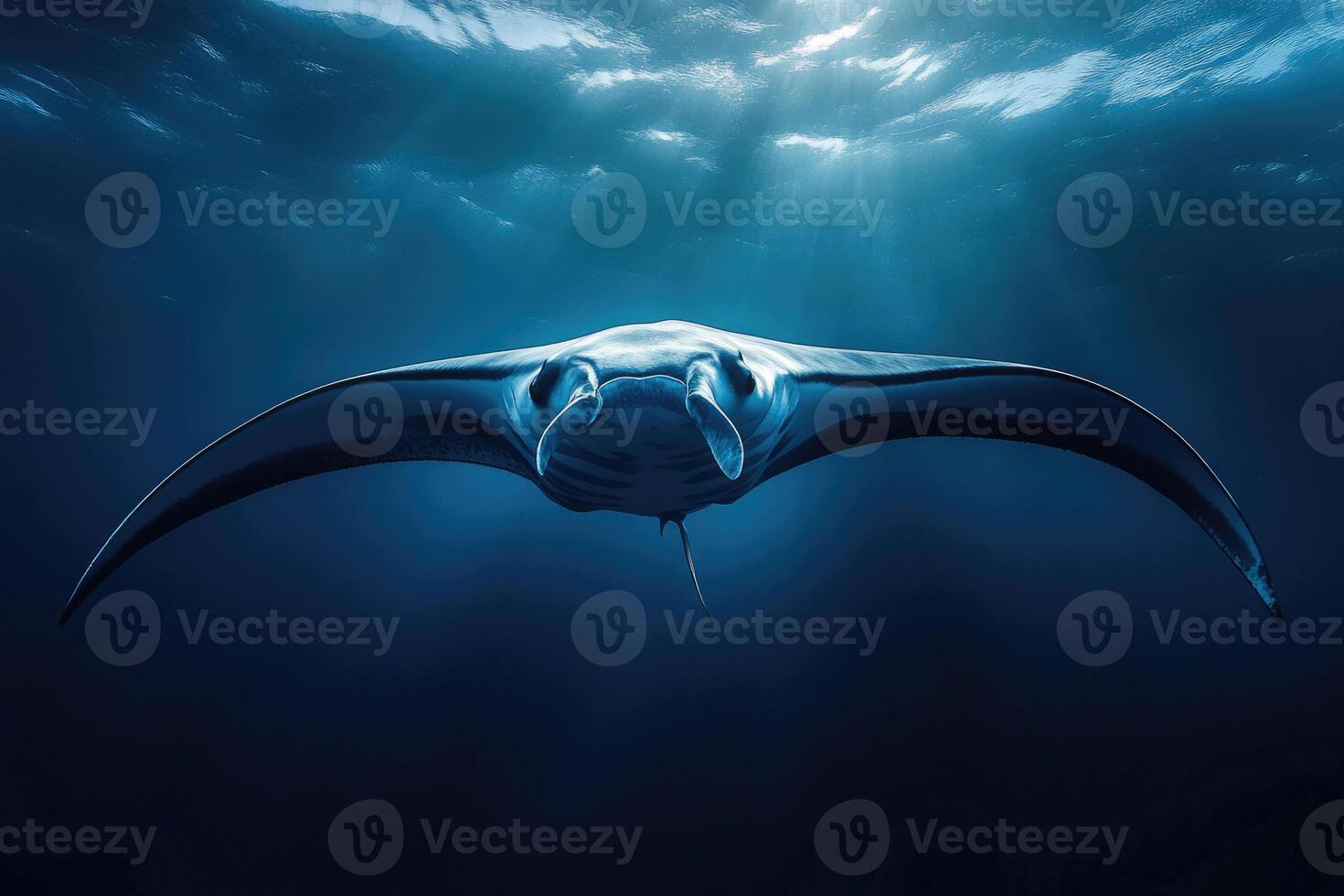 A manta ray gliding effortlessly through the oceans blue depths. photo