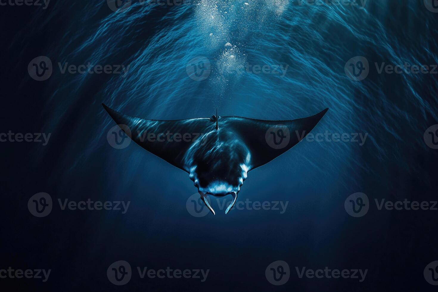 A manta ray gliding effortlessly through the oceans blue depths. photo