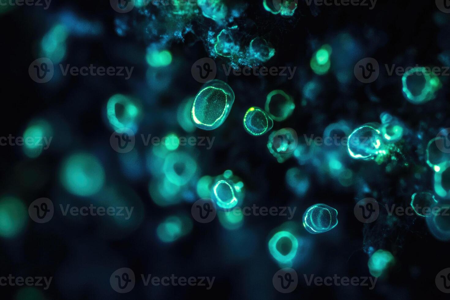 Bioluminescent plankton glow brilliantly in the dark. photo