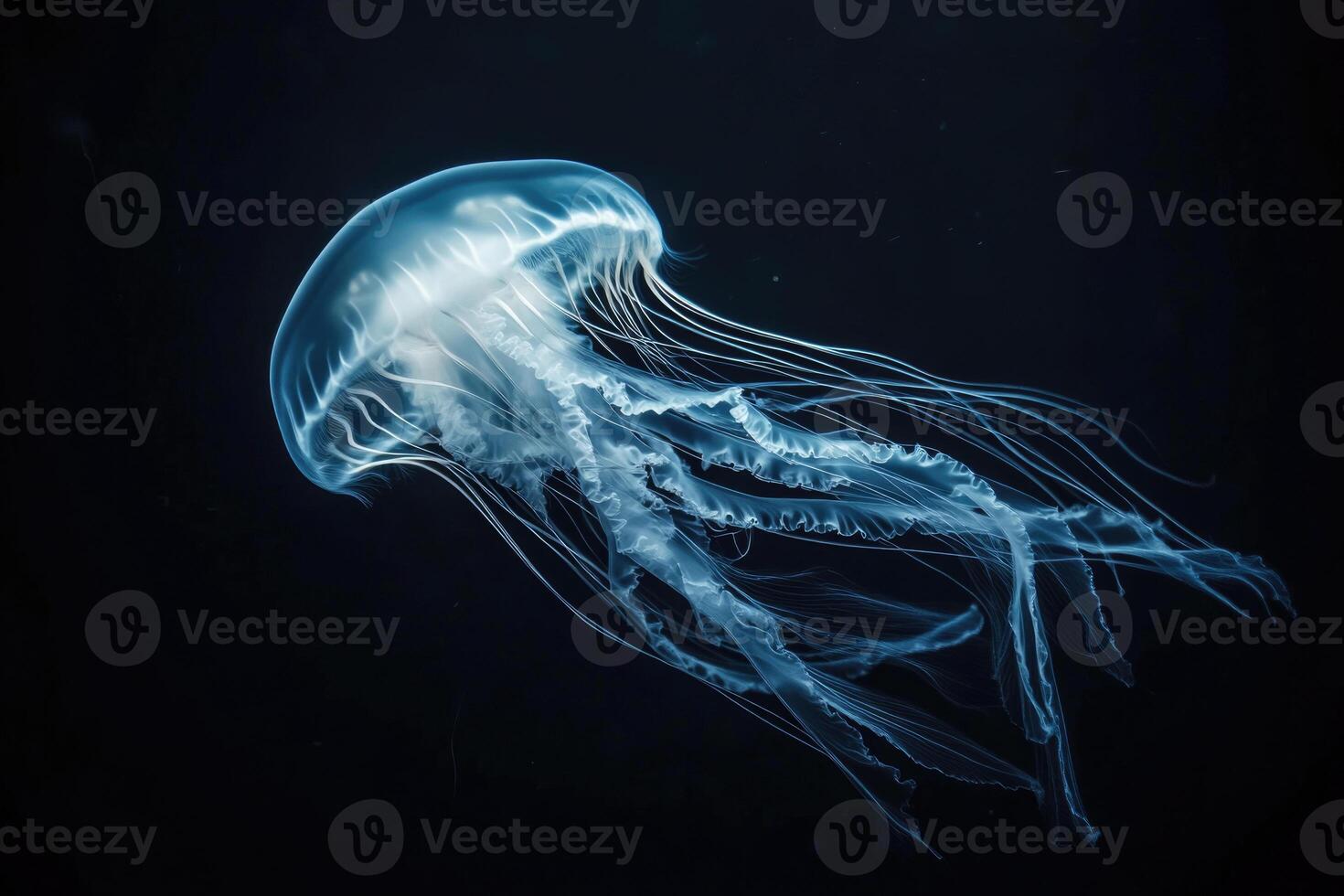 A glowing jellyfish floats in the dark ocean, its bioluminescence softly lighting the water. photo