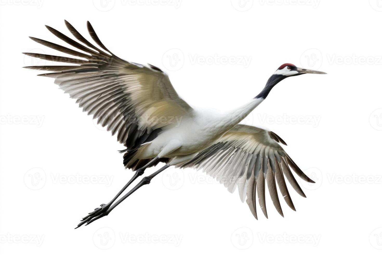 A poised crane with elongated neck in mid-flight. photo