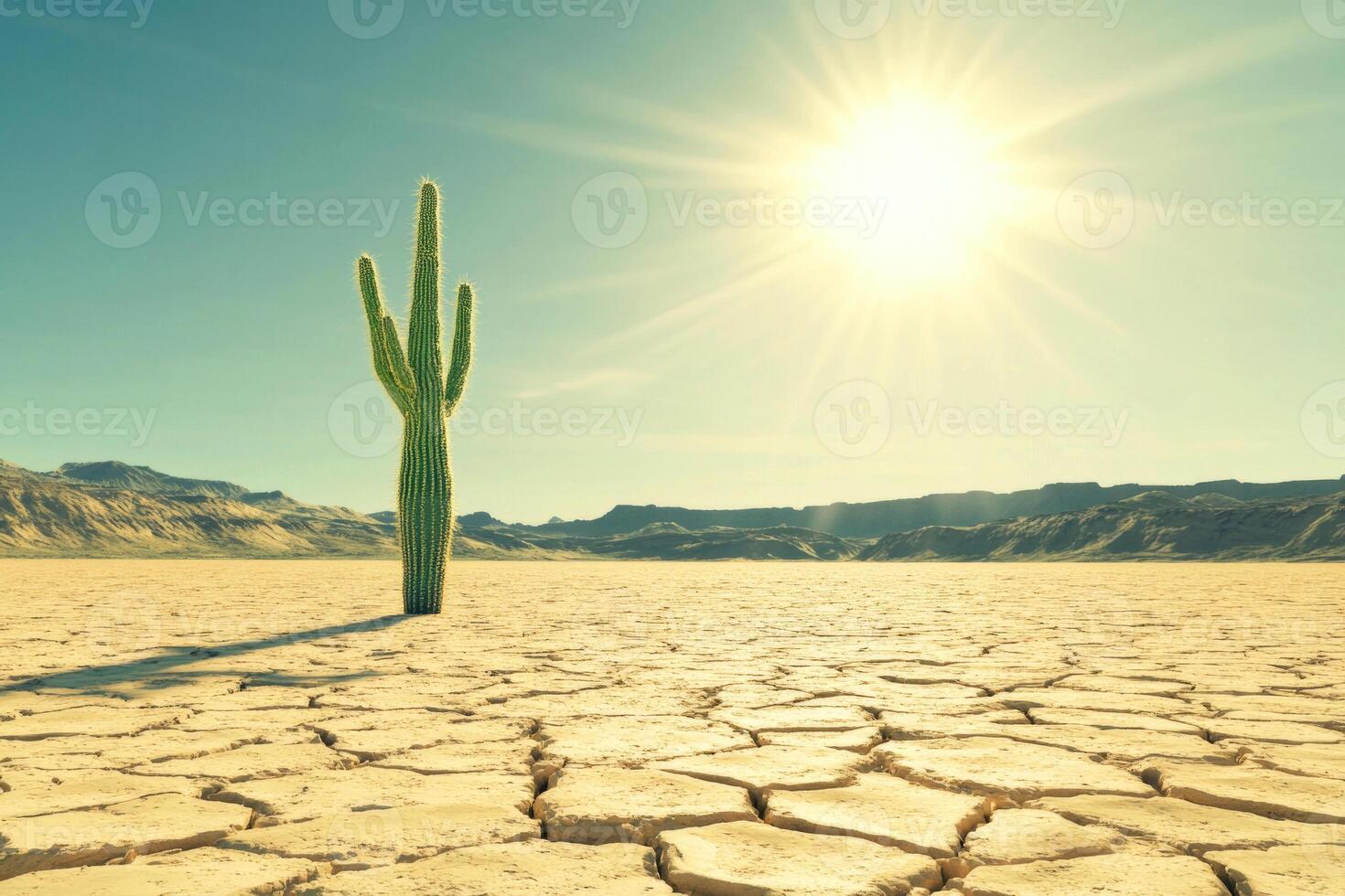 A parched desert landscape with a lone cactus under the scorching sun. photo