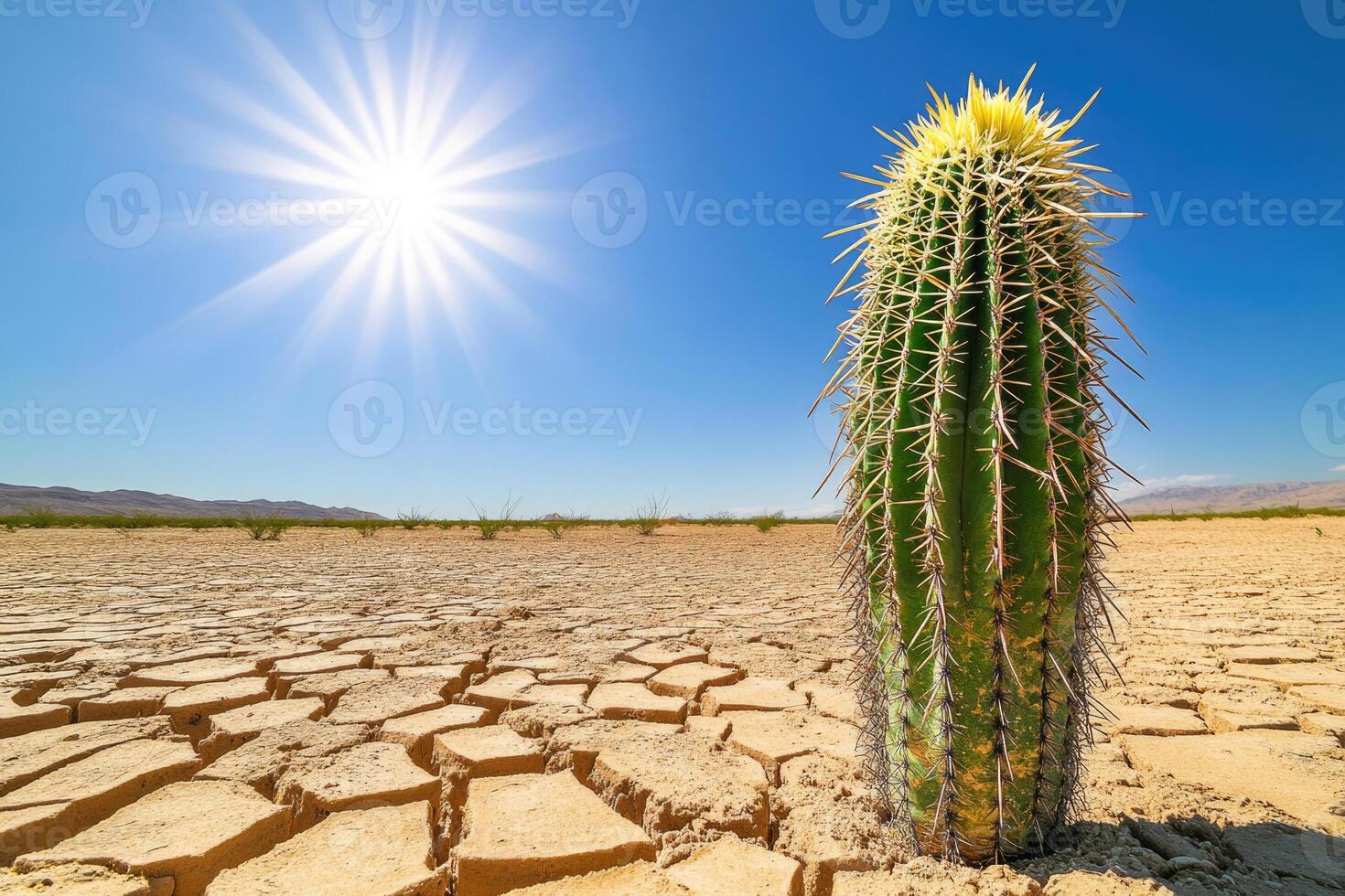 A parched desert landscape with a lone cactus under the scorching sun. photo