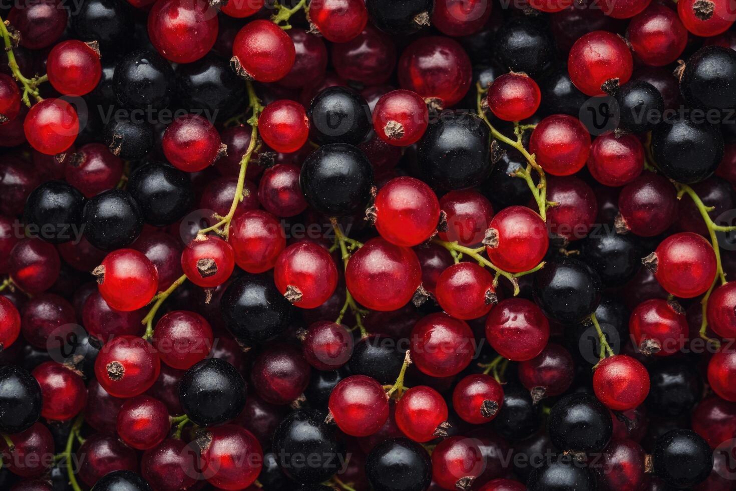 A vivid mix of red and black currants creates a rich, textured background. photo
