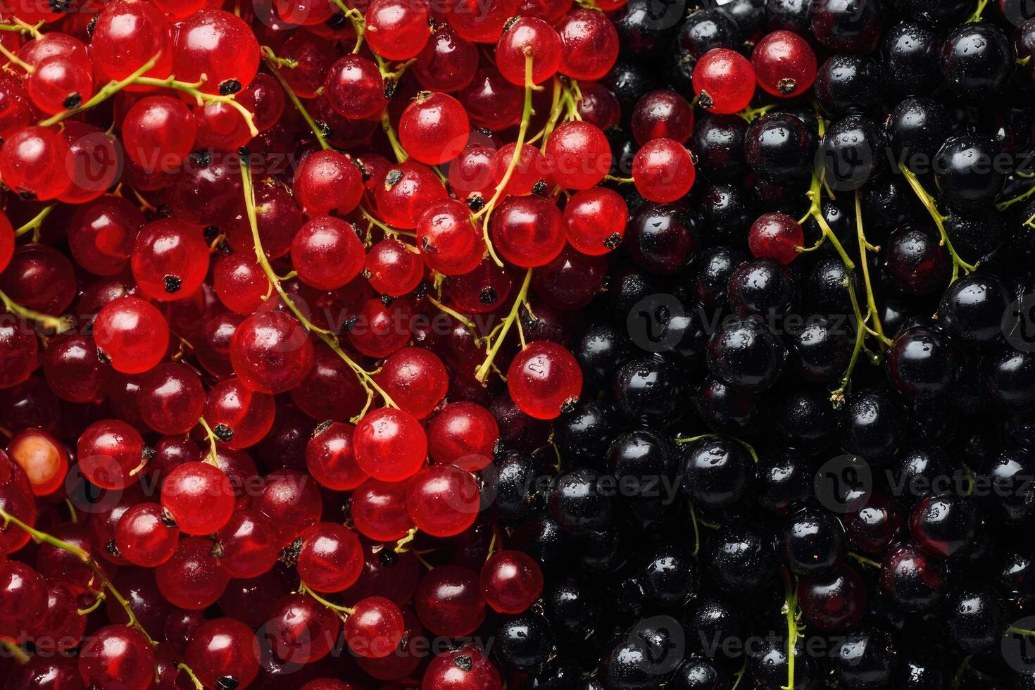 A vivid mix of red and black currants creates a rich, textured background. photo