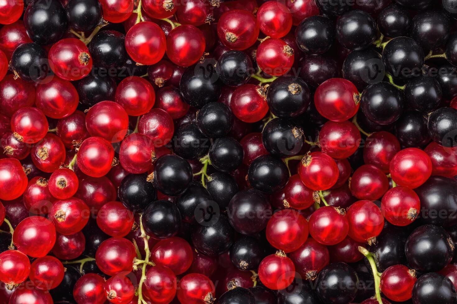 A vivid mix of red and black currants creates a rich, textured background. photo