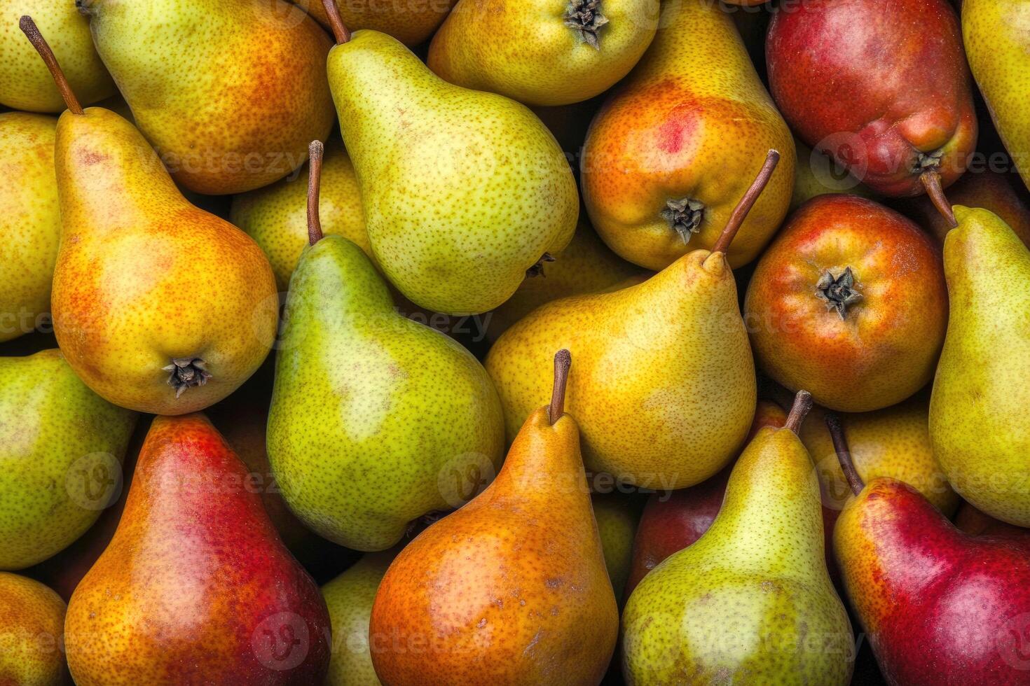 A colorful array of pears forms a rich and textured background. photo