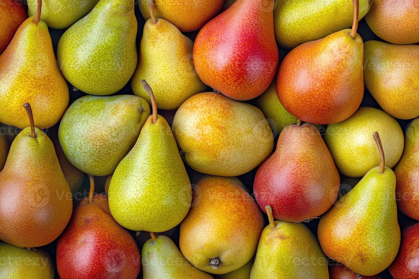 A colorful array of pears forms a rich and textured background. photo