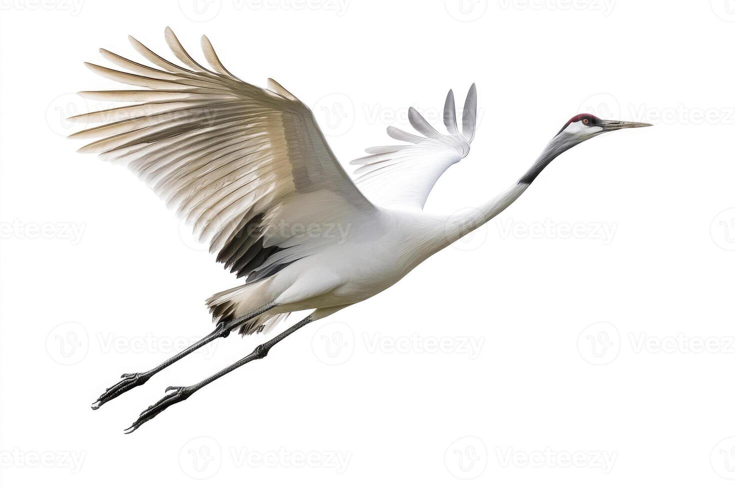 A poised crane with elongated neck in mid-flight. photo