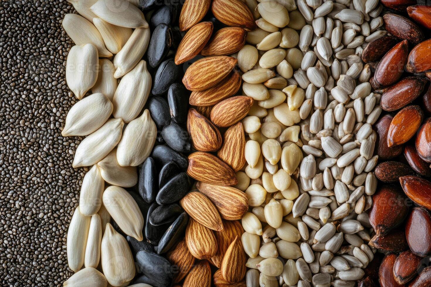 A textured layer of seeds creates a natural, earthy background. photo