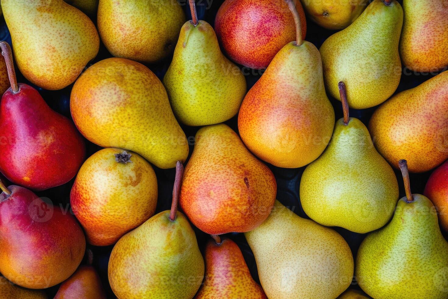 A colorful array of pears forms a rich and textured background. photo