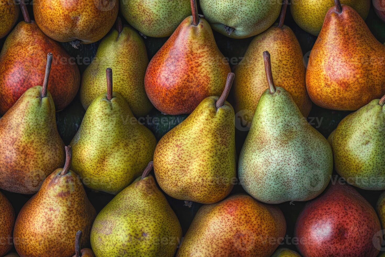 A colorful array of pears forms a rich and textured background. photo