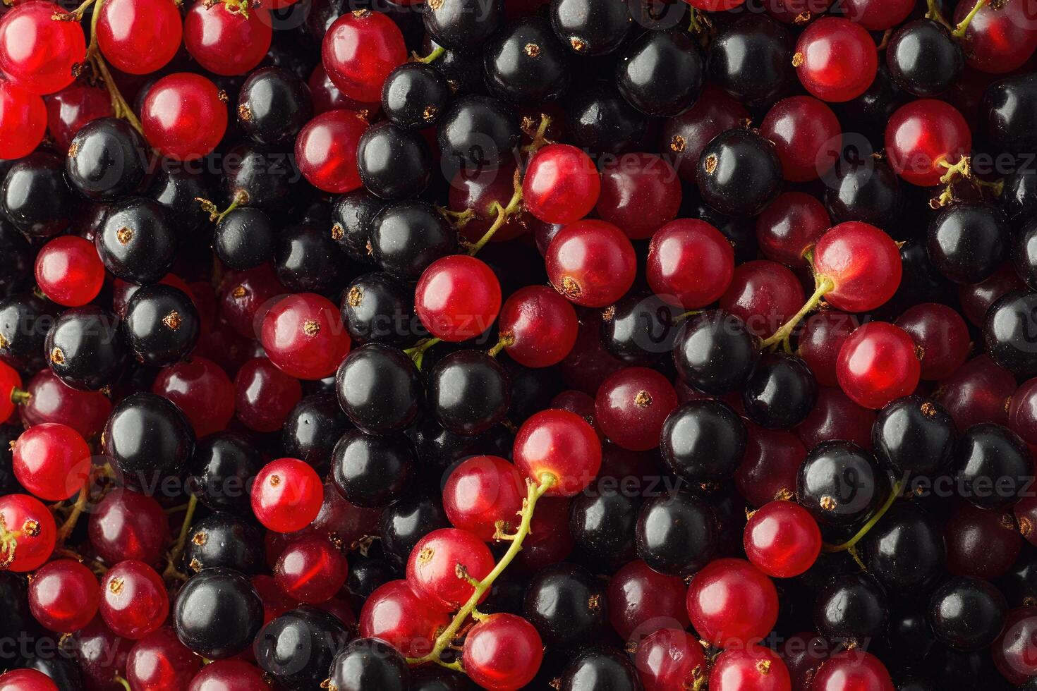 A vivid mix of red and black currants creates a rich, textured background. photo