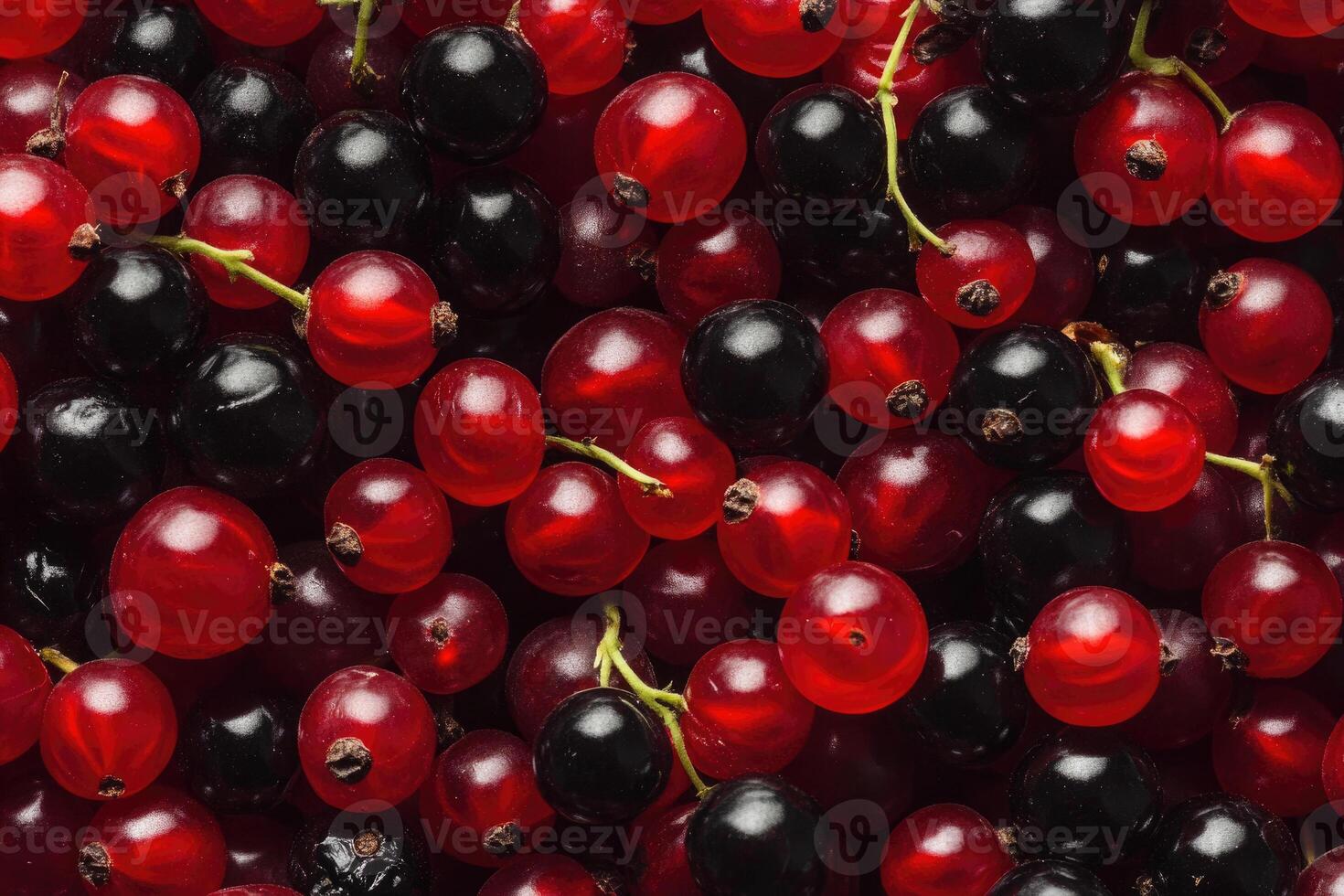 A vivid mix of red and black currants creates a rich, textured background. photo