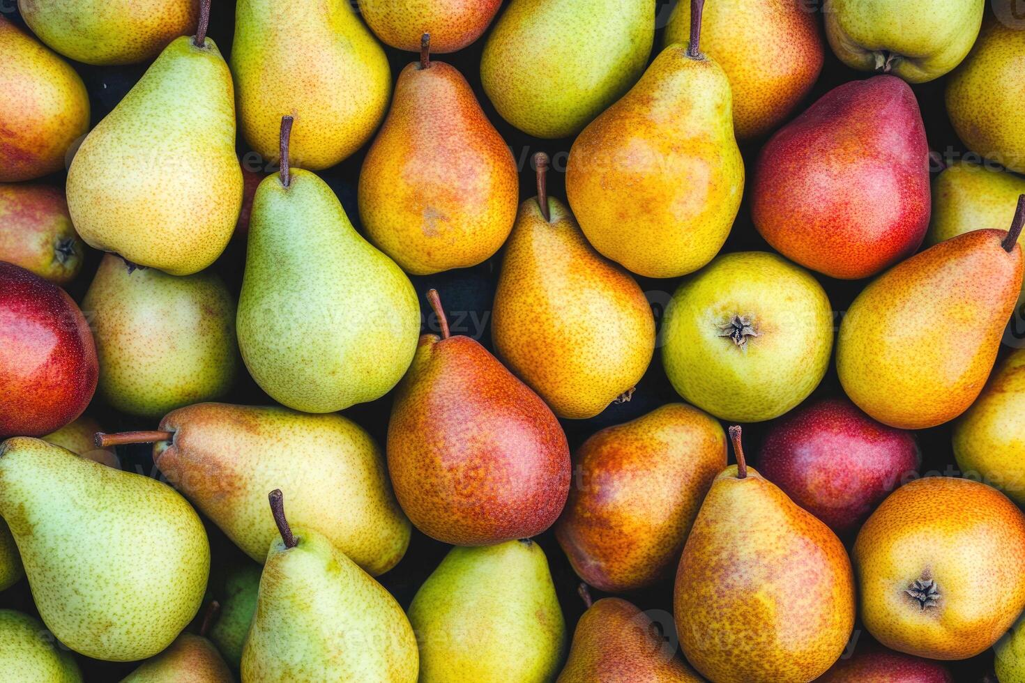 A colorful array of pears forms a rich and textured background. photo