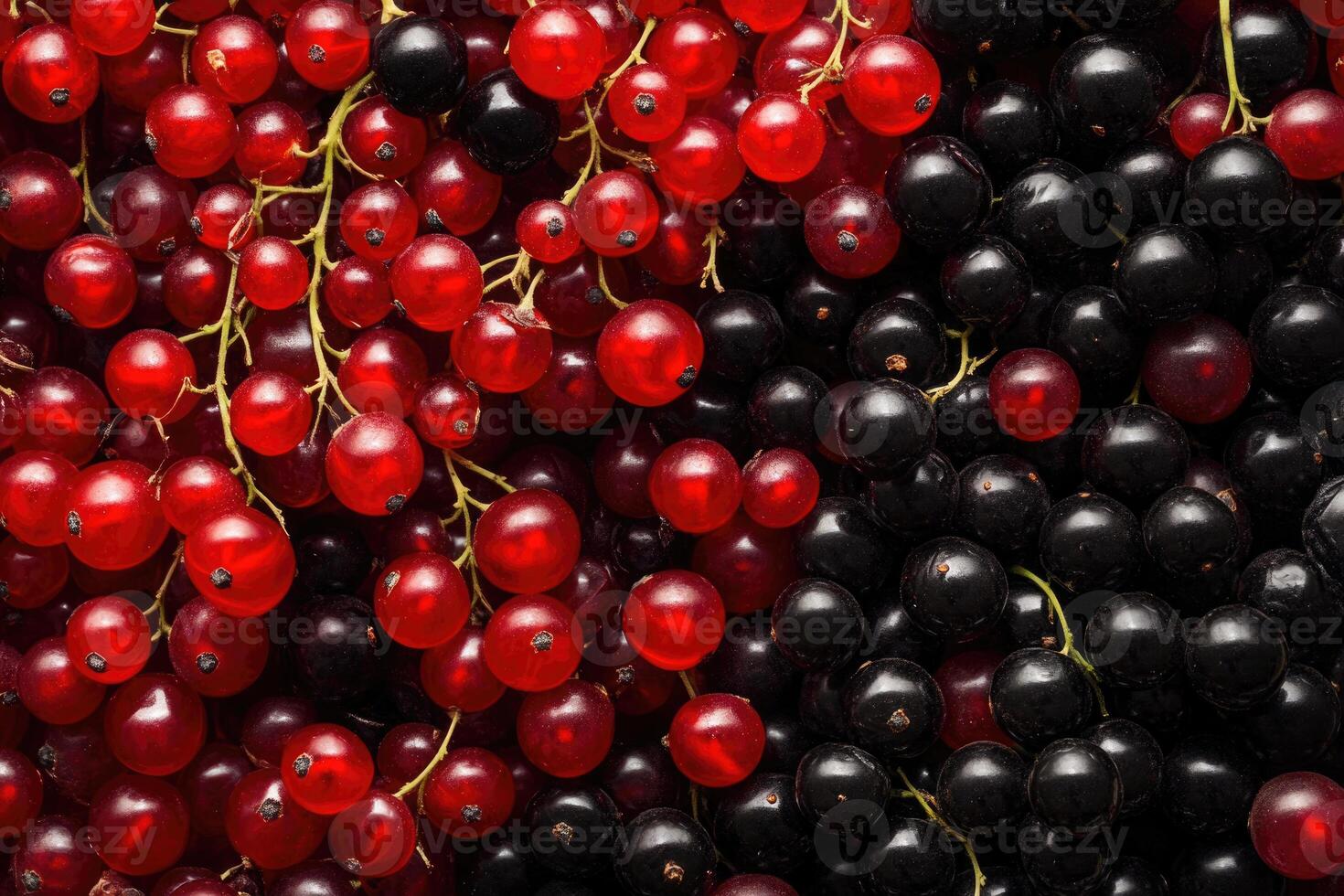 A vivid mix of red and black currants creates a rich, textured background. photo