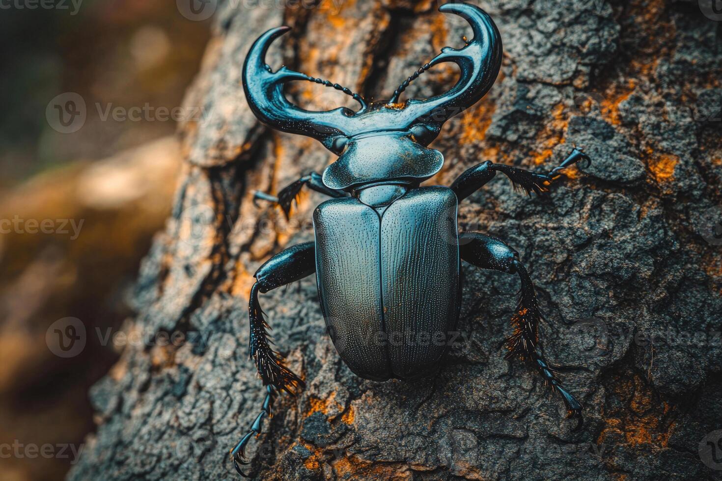 A stag beetle resting on a tree trunk. photo