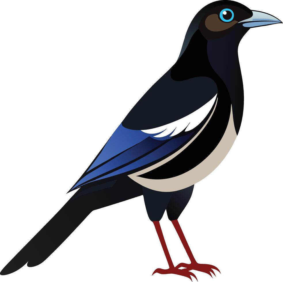 Magpie Perched on Old Fence vector