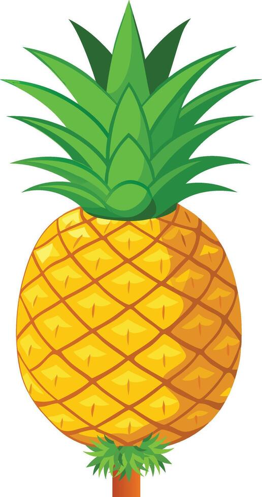 Realistic pineapple Illustration vector