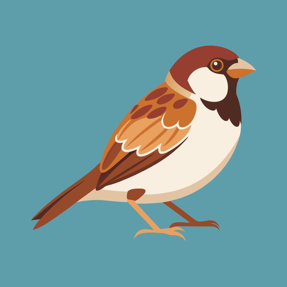 A sparrow bird vector
