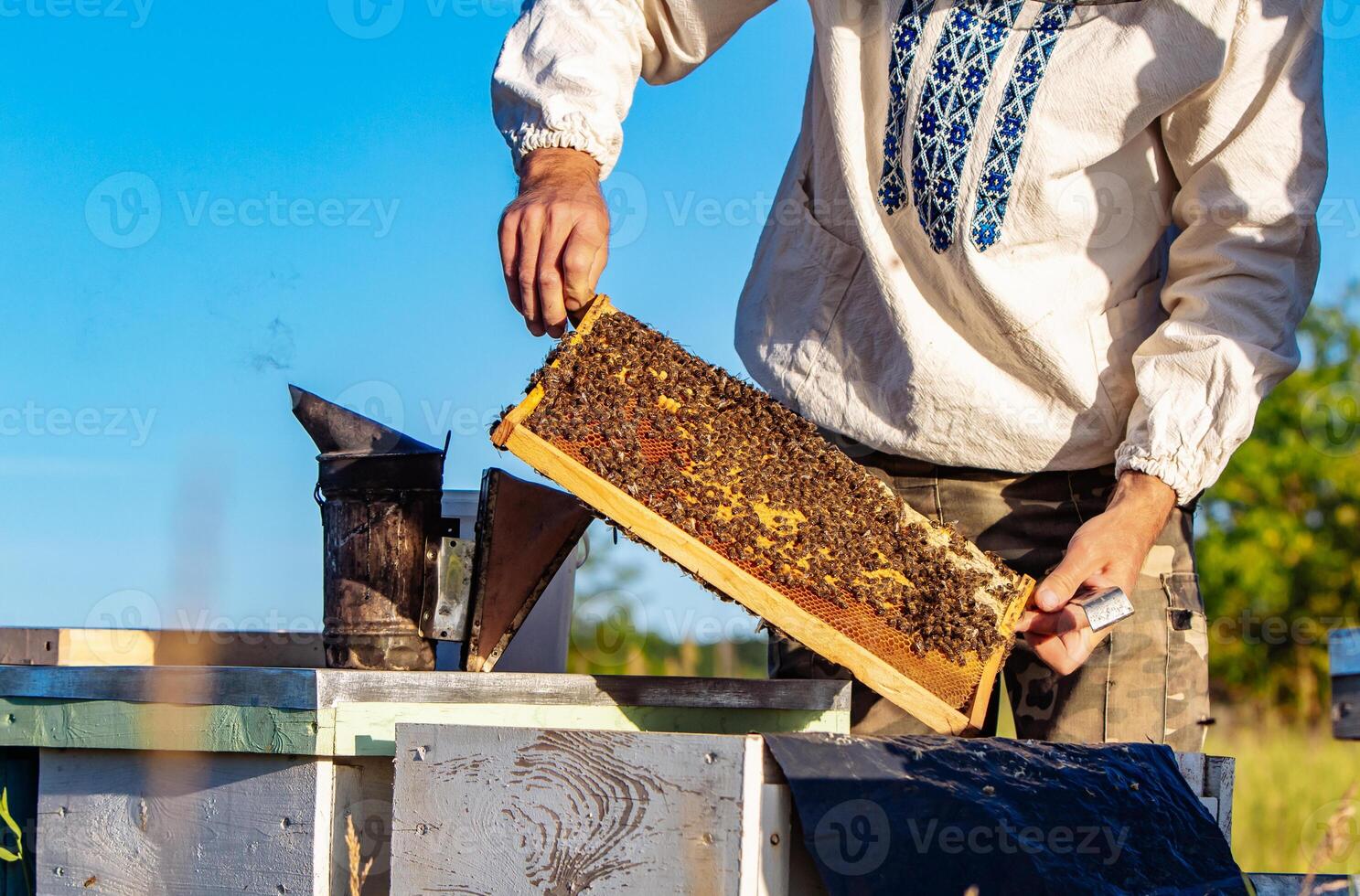 Beekeeper working in his apiary. Frames of a bee hive. Apiculture photo