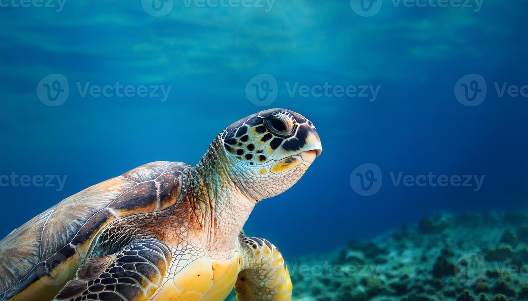 turtle's detailed shell and serene expression create a peaceful and captivating scene, emphasizing the beauty of marine life, Underwater photograph of a sea turtle gracefully swimming through ocean photo