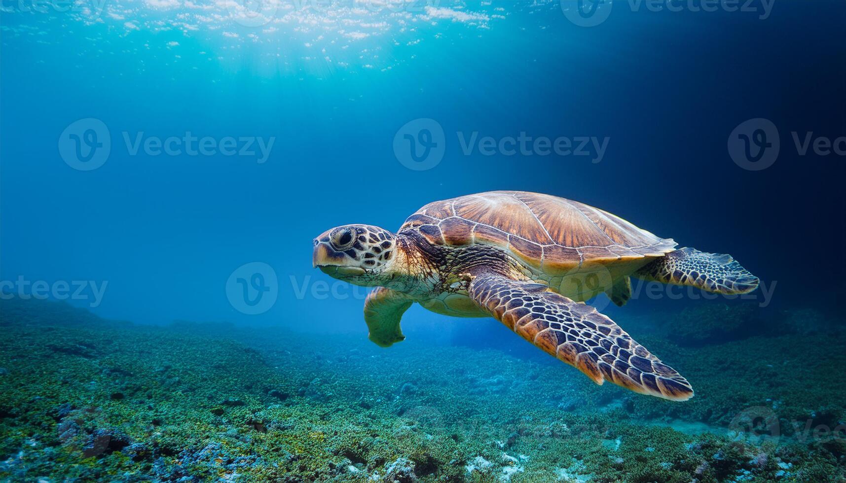 turtle's detailed shell and serene expression create a peaceful and captivating scene, emphasizing the beauty of marine life, Underwater photograph of a sea turtle gracefully swimming through ocean photo