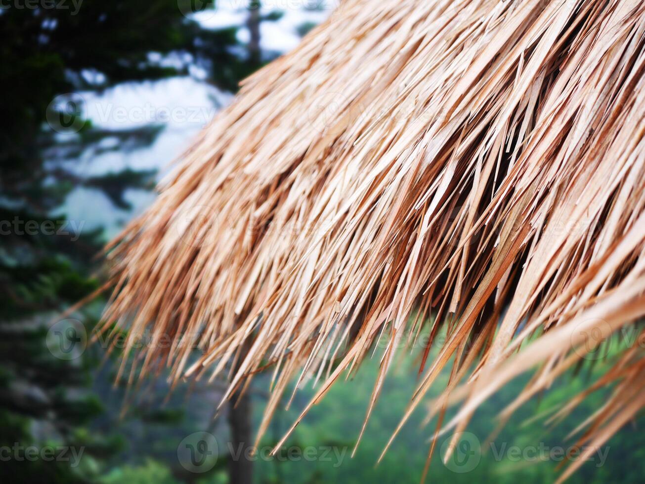 straw roof, The straw roof moved from the storm, Part of Thatched Roof with Straw, The wind is blowing strong, A rainstorm is coming, It's about to rain photo