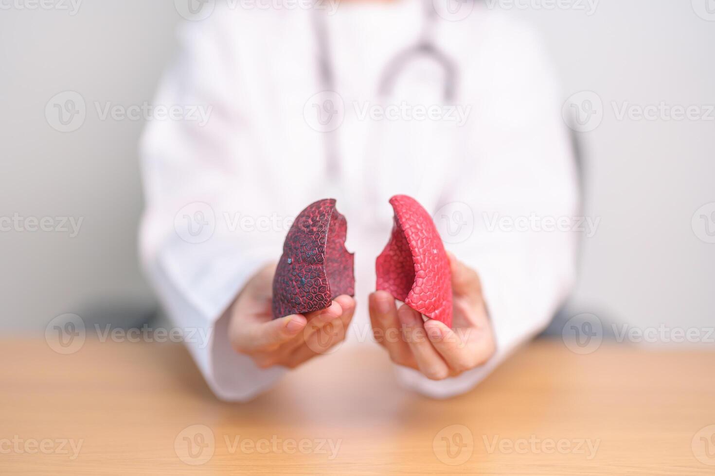 Doctor with Smoker and normal Lung anatomy for Disease. Lung Cancer, Asthma, Chronic Obstructive Pulmonary or COPD, Bronchitis, Emphysema, Cystic Fibrosis, Bronchiectasis, Pneumonia and world Lung day photo