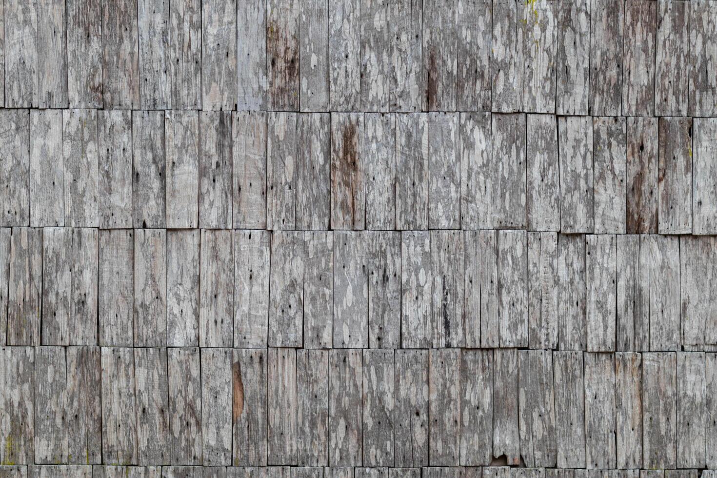 The blurry and dark background of many small wooden walls is perfect for design and designers who want textures on a natural surface and some space for text. Copy Space from Background photo
