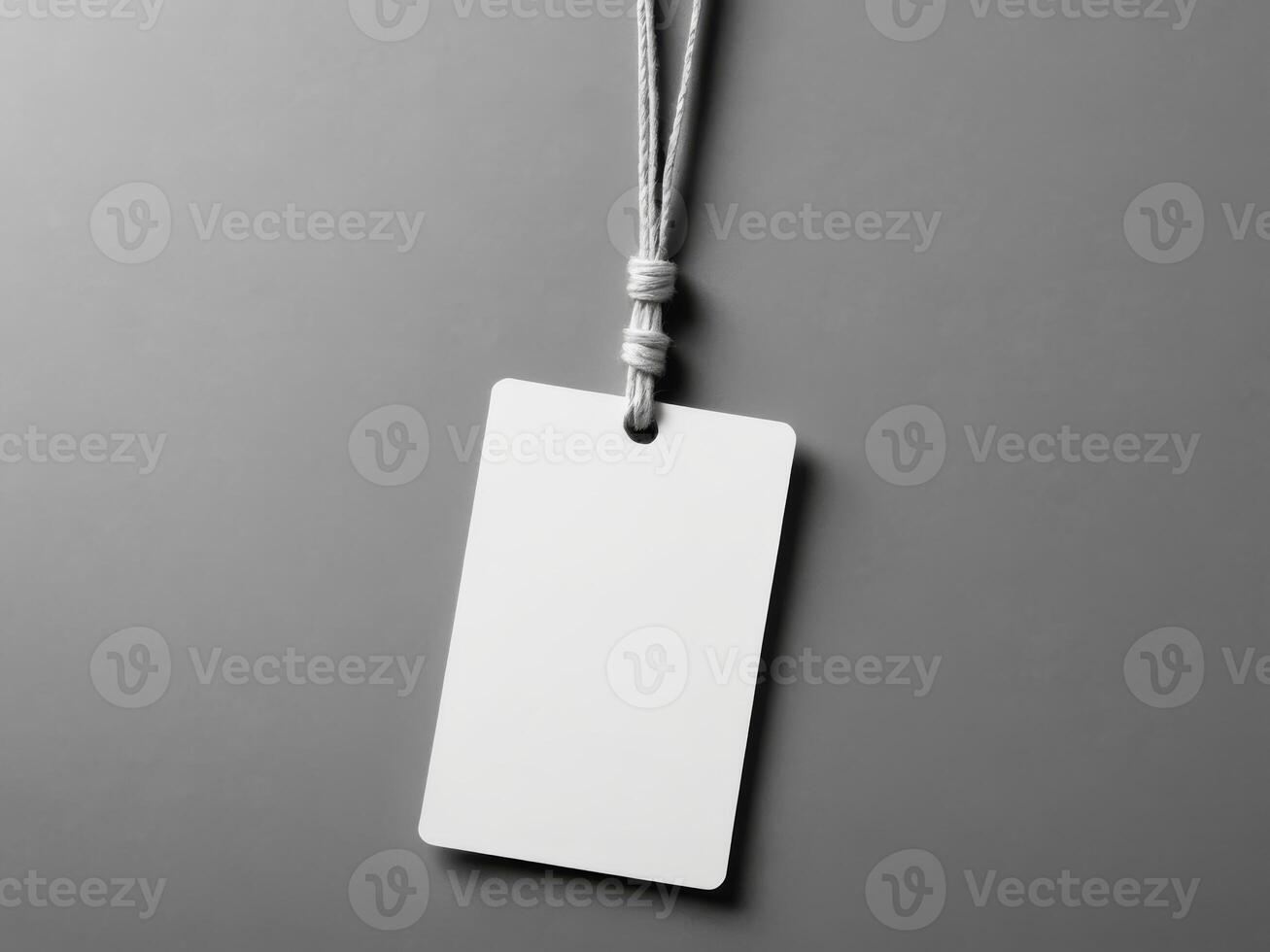 White Paper Price Label With String Isolated on gray background. photo