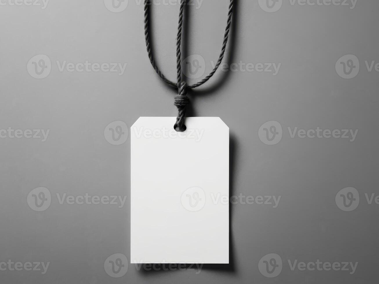 White Paper Price Label With String Isolated on gray background. photo