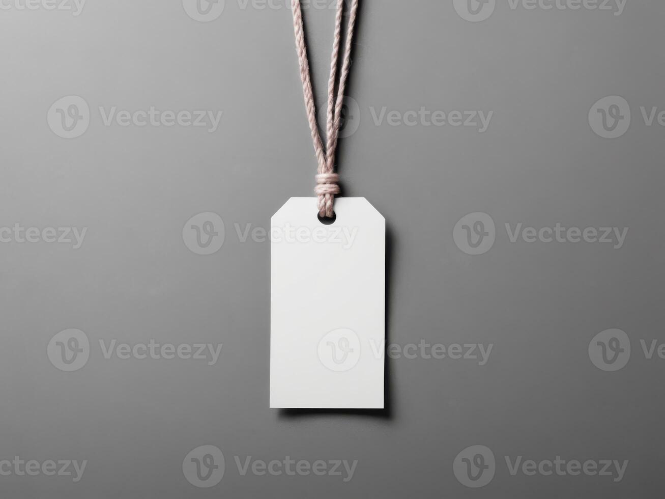 White Paper Price Label With String Isolated on gray background. photo