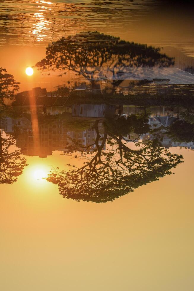 As the sun sets, its golden glow casts a peaceful reflection on the still water, blurring the line between reality and its mirrored image. photo