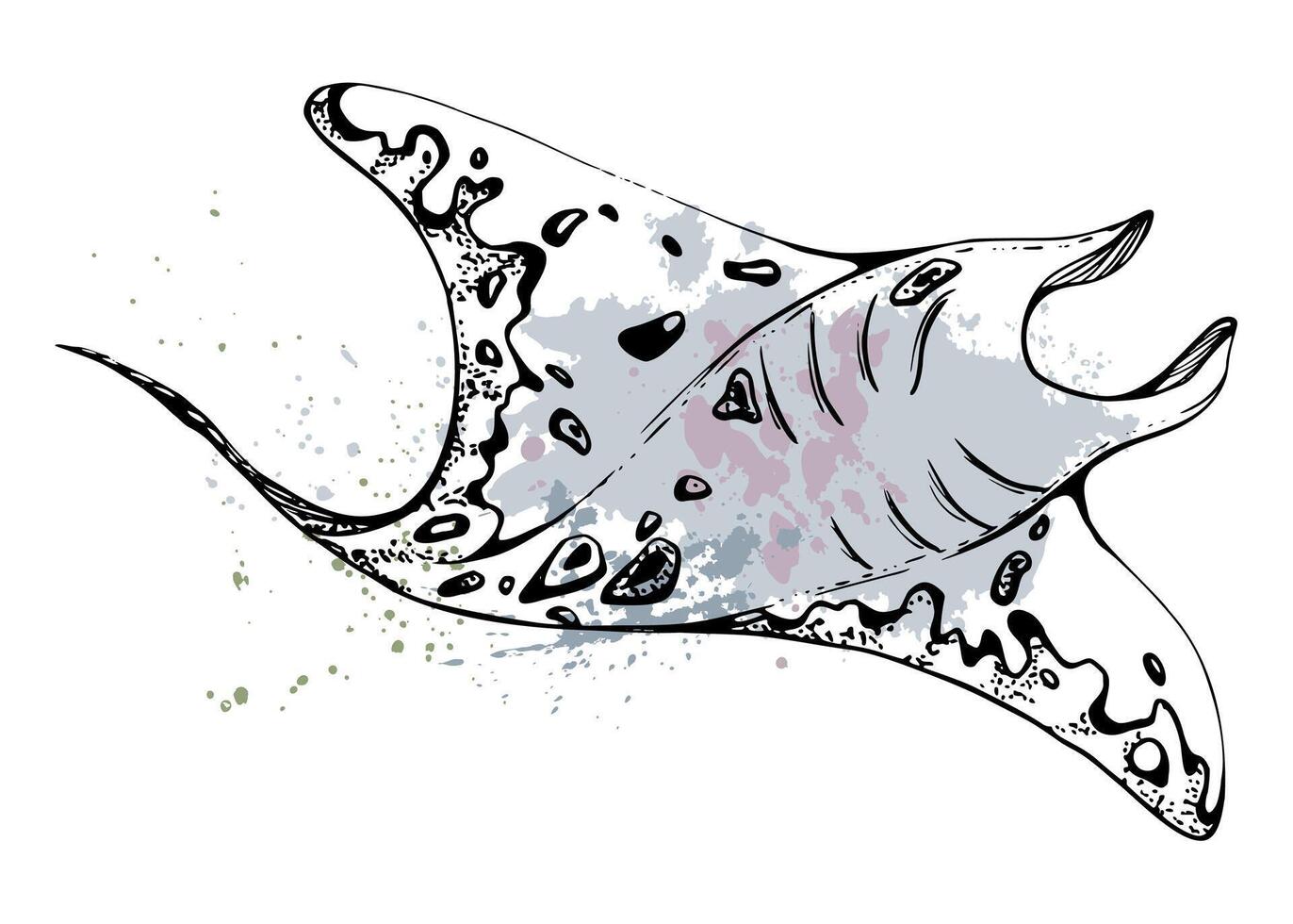 Stingray manta ray fish splash stain Marine life, ocean underwater creature animal, Ink sketch hand drawn. Single object illustration stylized, isolated on white. Zoo shop, aquarium, cosmetics, resort vector