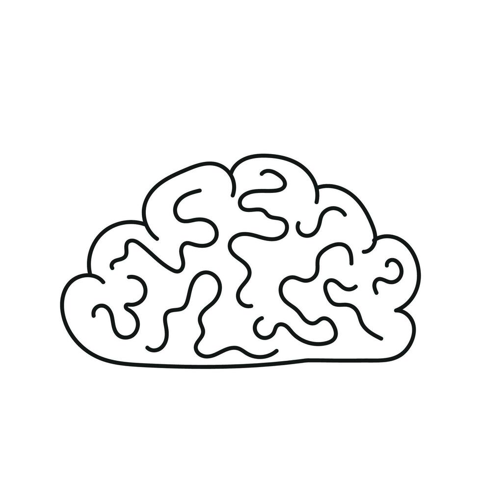 Brain Doodle. illustration isolated on background. vector